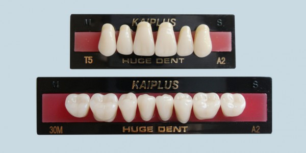 Synthetic Polymer Teeth – Kaiplus
