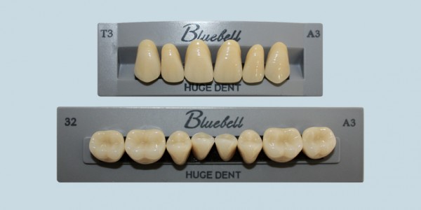 Synthetic Polymer Teeth – Bluebell